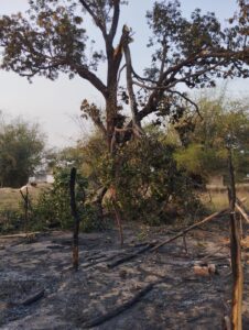 शरारती तत्वों ने लगाई आग, धू-धू कर जली झोपड़ी