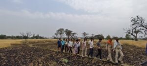 11 हजार वोल्ट लाइन में शॉर्ट सर्किट से भड़की आग, 4 बीघा गेहूं की फसल जलकर खाक