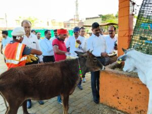 गौशाला में पेयजल,भूसा और चारा की समुचित व्यवस्था किया जाय: मण्डलायुक्त