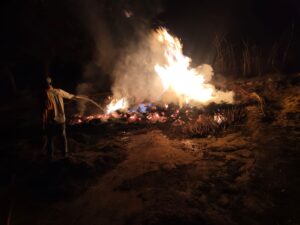 अरहर की फसल को दबंगो ने फूंका, किसान ने लगाई न्याय की गुहार