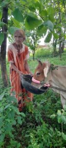 गाय को राष्ट्रीय पशु घोषित करने की मांग:सावित्री देवी