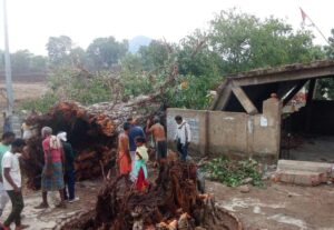 आंधी-तूफान में गिरा 100 साल पुराना पीपल का पेड़, युवक गंभीर घायल