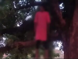 महुआ के पेड़ पर दुपट्टे के सहारे लटका मिला किशोरी का शव