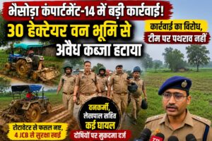 नौगढ़ में वन विभाग की बड़ी करवाई, 30 हेक्टेयर वन भूमि से हटाया अवैध कब्जा, कार्रवाई के दौरान टीम पर पथराव