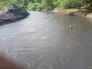 ऊर्जाराजधानी बन रही बीमारियों की राजधानी,बढ़ रही बीमारियां, सबसे ज्यादा एक्यूआई