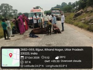 मुर्धवा-बीजपुर मार्ग पर सड़क हादसे में गाय घायल, MVU टीम ने किया उपचार