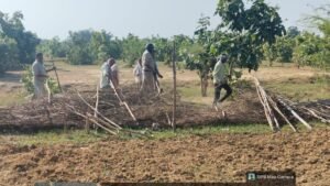 नौगढ़ में वन विभाग की कार्रवाई, पांच बीघा वनभूमि कराई अतिक्रमण मुक्त, मझगाई, जयमोहनी और नौगढ़ रेंज की संयुक्त टीम ने चलाया अभियान, अतिक्रमणकारियों पर होगी कानूनी कार्रवाई
